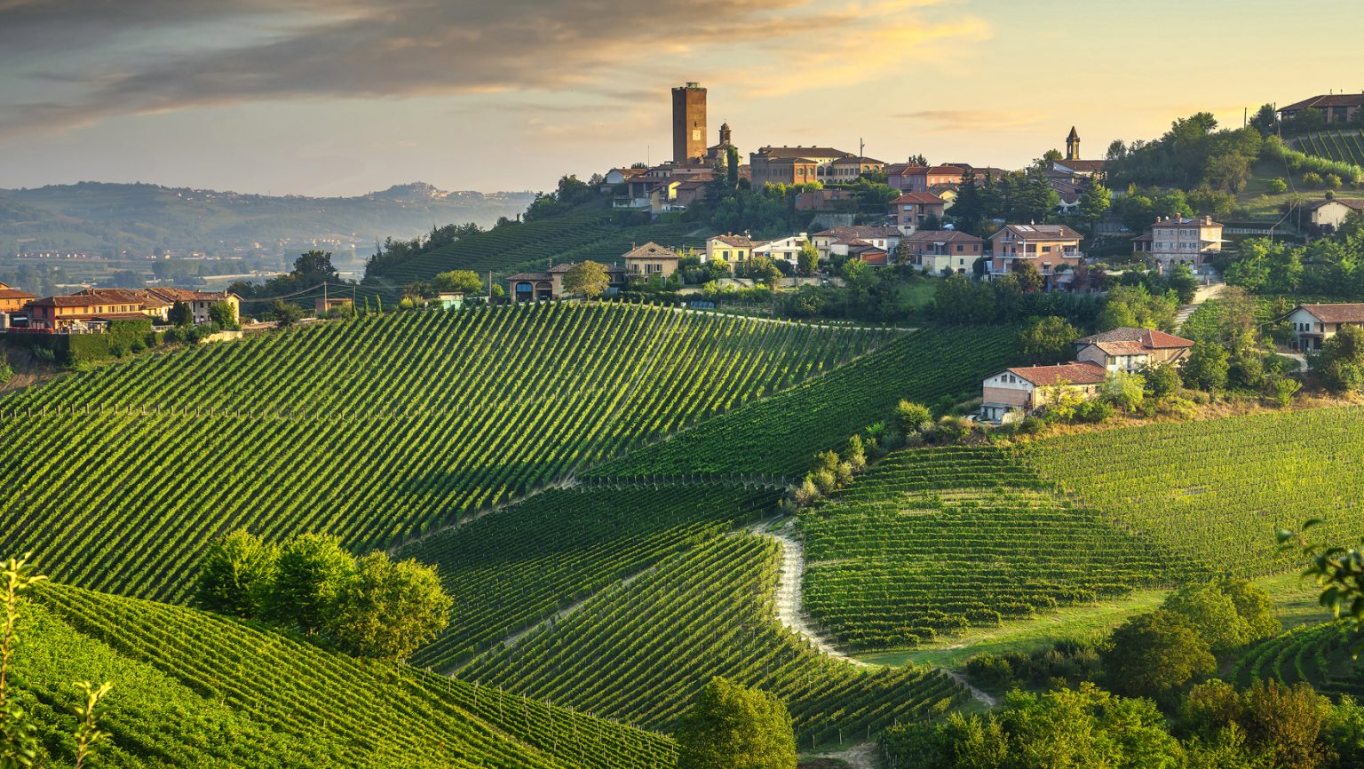 Certified Specialist of Wine Society of Wine Educators